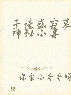 千亿盛宠慕少的神秘小妻