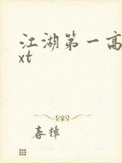 江湖第一高手txt