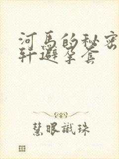 河马的秘密河文轩避孕套