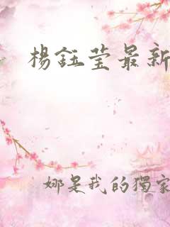 杨钰莹最新小说