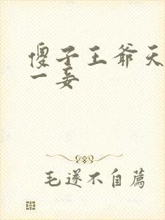 傻子王爷天下第一妾