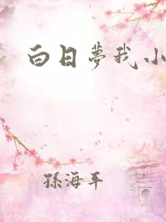 白日梦我小说