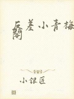 反差小青梅笔趣阁