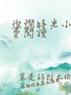 灿烂时光小说免费阅读