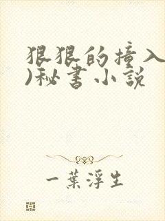 狠狠的撞入(h)秘书小说