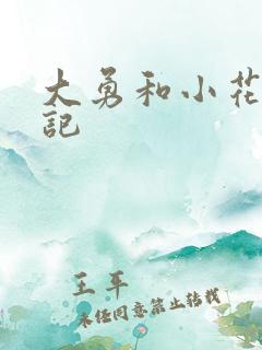 大勇和小花的日记