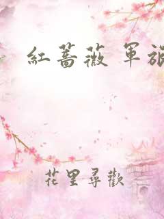 红蔷薇 军旅文