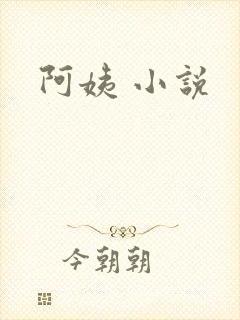阿姨 小说