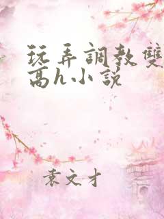 玩弄调教双胞胎高h小说