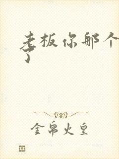 老板你那个太长了