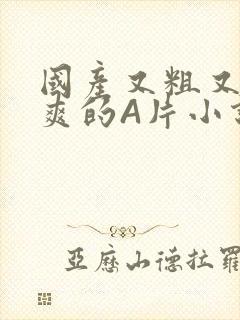 国产又粗又黄又爽的A片小说