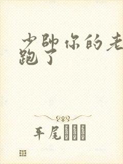 少帅你的老婆又跑了