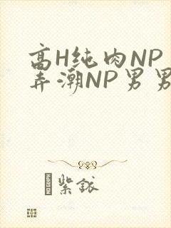 高H纯肉NP 弄潮NP男男