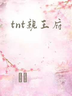 tnt亲王府