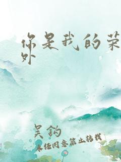 你是我的荣耀番外