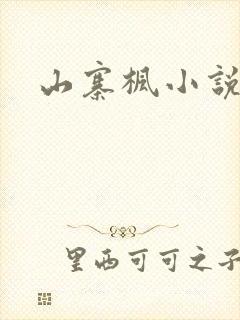 山寨枫小说网
