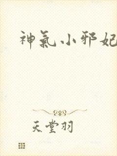 神气小邪妃