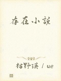 存在小说