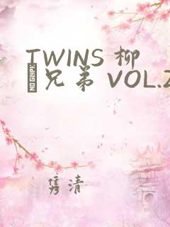 TWINS 柳澤兄弟 VOL.2