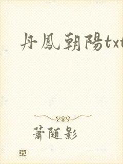 丹凤朝阳txt