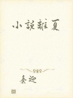 小说离夏
