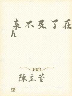 来不及了在车ch