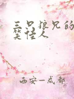 三只狼兄的宠妻笑佳人