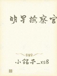 明星检察官小说