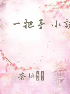 一把手 小说
