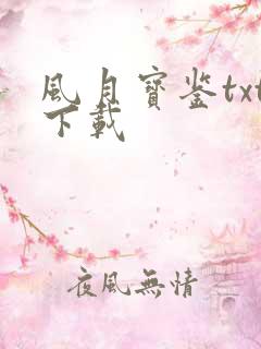 风月宝鉴txt下载