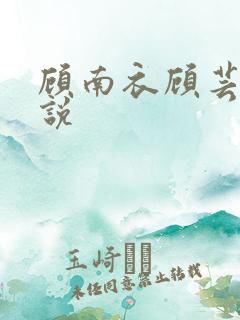 顾南衣顾芸沐小说