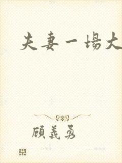 夫妻一场大结局