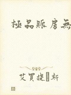 极品账房无弹窗