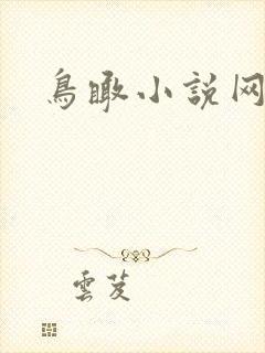 鸟瞰小说网