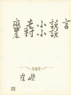 恋老小说言情网农村小说