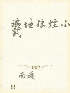 遍地狼烟小说下载