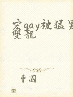 宏gay被猛男双龙