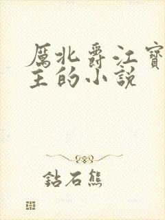 厉北爵江宝宝男主的小说