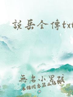 说岳全传txt