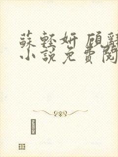 苏轻妍 顾辞笙小说免费阅读