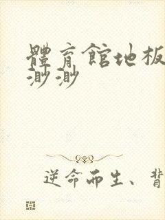 体育馆地板上c渺渺