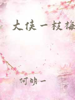 大侠一枝梅