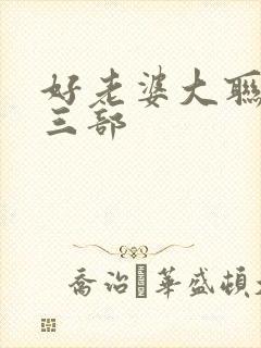 好老婆大联盟第三部