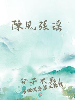 陈风张瑶