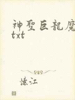 神圣巨龙魔法师txt