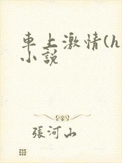 车上激情(h)小说