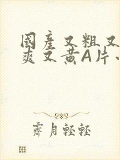 国产又粗又猛又爽又黄A片小说