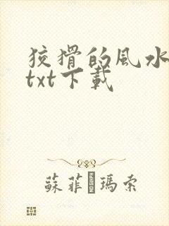 狡猾的风水相师txt下载