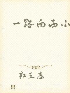 一路向西小说