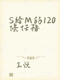S给M的120条任务